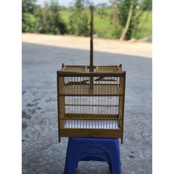 Lồng Bẫy Khuyên Huế Lồng Chim Giá Rẻ Hàng Đẹp