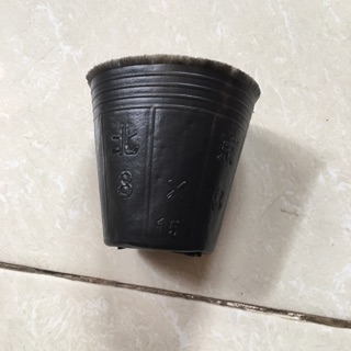 Bầu ươm cây size nhỏ 8-8(1kg)