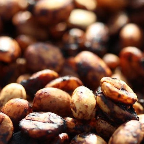 Cà phê Robusta Honey [500g/ 1 túi] - 100% Cà phê mộc rang xay nguyên chất - TBCAFE | BigBuy360 - bigbuy360.vn