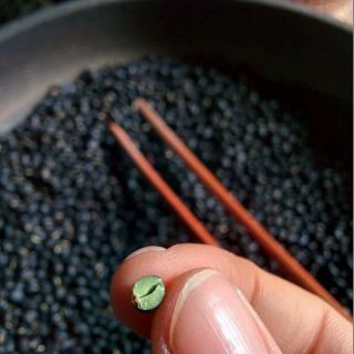 1kg ĐỖ ĐEN QUÊ XANH LÒNG RANG SẴN (có mix lá nếp)