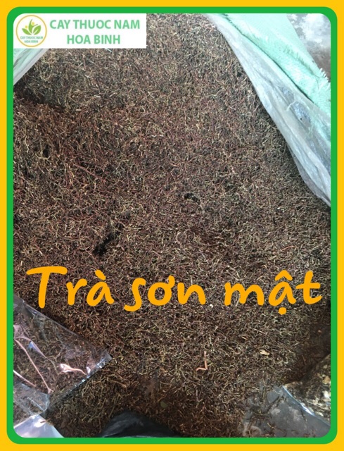 1 Kg Trà Sơn Mật Hồng Sâm