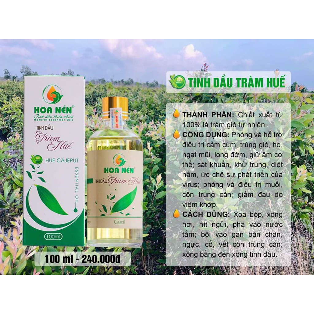 Tinh Dầu Tràm Huế [HOA NÉN] [CHÍNH HÃNG] - hỗ trợ điều trị cảm cúm, ho, ngạt mũi, phòng côn trùng cắn, giữ ấm cơ thể