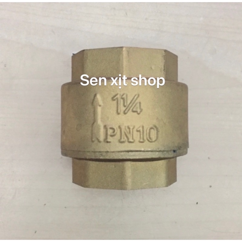 Van 1 Chiều Lò Xo Đồng Thau, LUPE Lò Xo phi 42