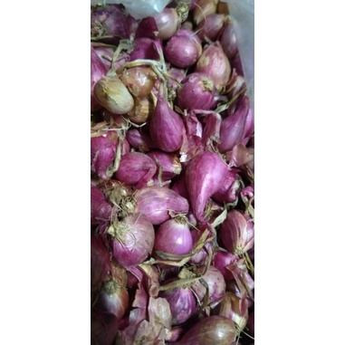 hành tím đà lạt ngon lắm