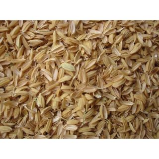 Vỏ Chấu trồng cây. 1kg