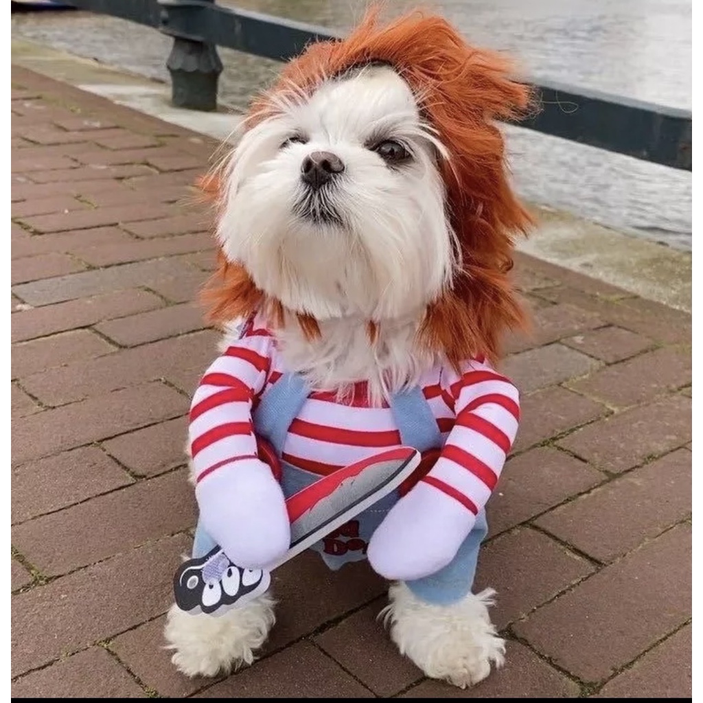 TẾT 2023 (QUÝ MẸO) ÁO COSPLAY KẺ GIẾT NGƯỜI VUI NHỘN HÀI HƯỚC LỄ HỘI GIÁNG SINH CHO THÚ CƯNG CHÓ MÈO