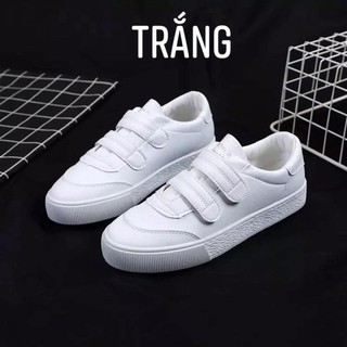 Combo trang đài