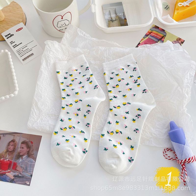 Sẵn - Set 6 đôi vớ cotton co giãn đủ màu