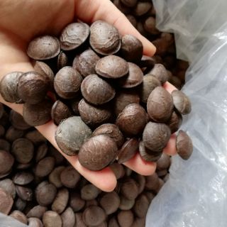 Hạt sachi rang muối hoặc sấy chín ăn liền 500g