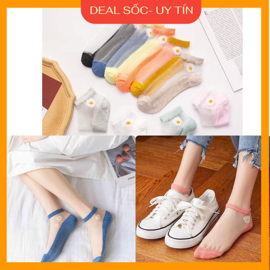 Tất nữ ????????Tất nữ cổ ngắn phối ren xuyên thấu chất đẹp