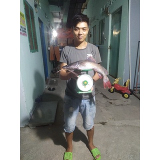 Cám Khó Đỡ