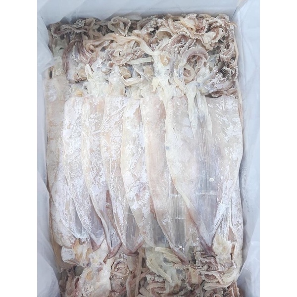 MỰC CÂU KHÔ VÂN DỒN,QUẢNG NINH LOẠI 1 size 12-14 con/kg BAO NGON,NGỌT THỊT,CÀNG NHAI CÀNG NGỌT.QUÀ BiẾU | WebRaoVat - webraovat.net.vn