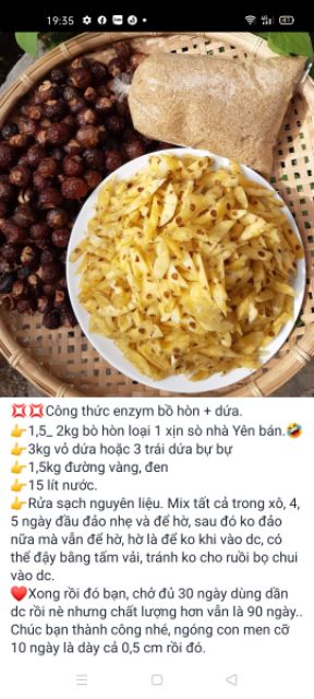 NƯỚC RỬA CHÉN, BÁT, LAU SÀN BỒ HÒN LÊN MEN ( SẢ, CHANH, QUẾ, DỨA...) 1 Lít