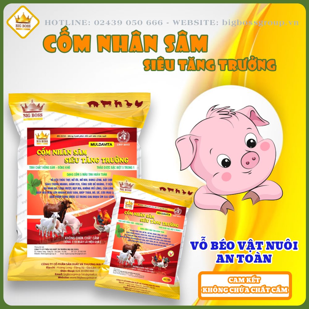 Cốm nhân sâm siêu tăng trưởng, men tiêu hóa kích thích đường ruột hấp thụ, tăng sức đề kháng cho vật nuôi túi 1kg