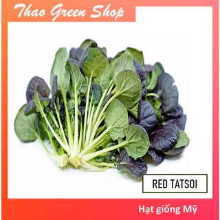  Hạt Giống cải Hoa Hồng Tím F1