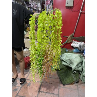 dây rủ  lá liễu dài 1m