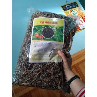 10 cây giống bọ mắm