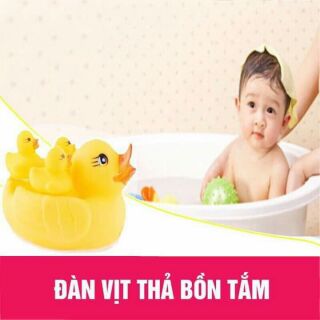 Vịt thả bồn tắm