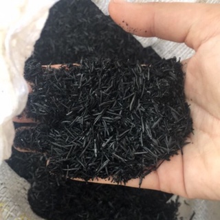 Trấu Hun nguyên cánh trồng cây 1kg