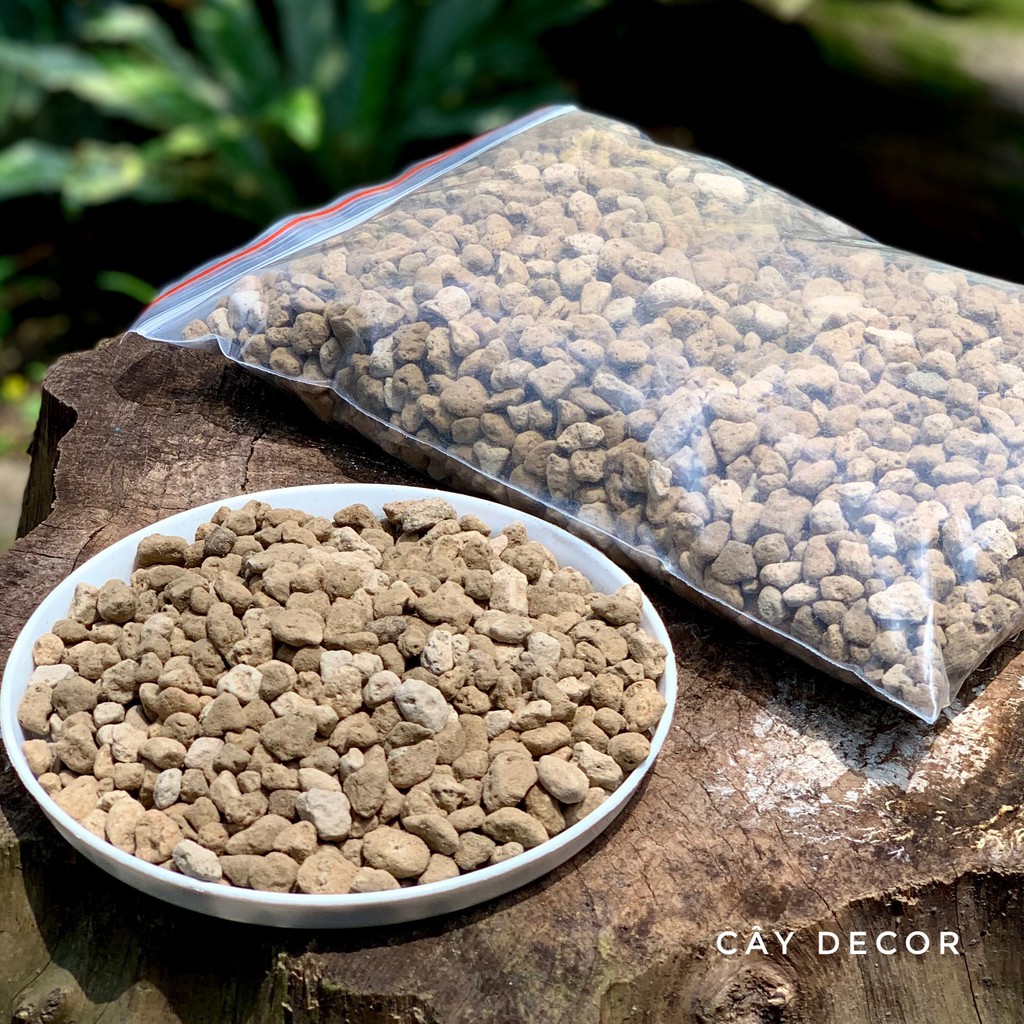 Đá Pumice  rất tốt cho kiểng lá, sen đá, xương rồng, size hạt lớn 5-8mm
