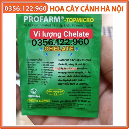 Phân bón lá Siêu Vi Lượng Chelate Profarm TopMicro gói 2 gram Thái Lan