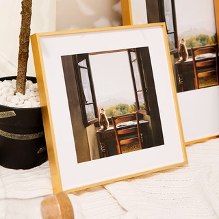 Khung Ảnh Gắn Tường Bằng Hợp Kim Nhôm Cỡ A3 A2 Chuyên Dụng