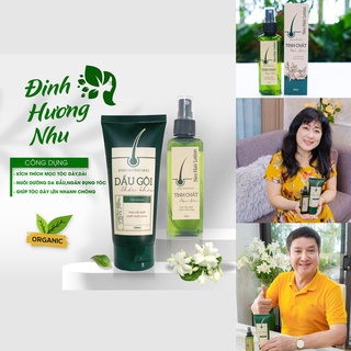 Dầu gội và xịt mọc tóc tóc đinh hương nhu