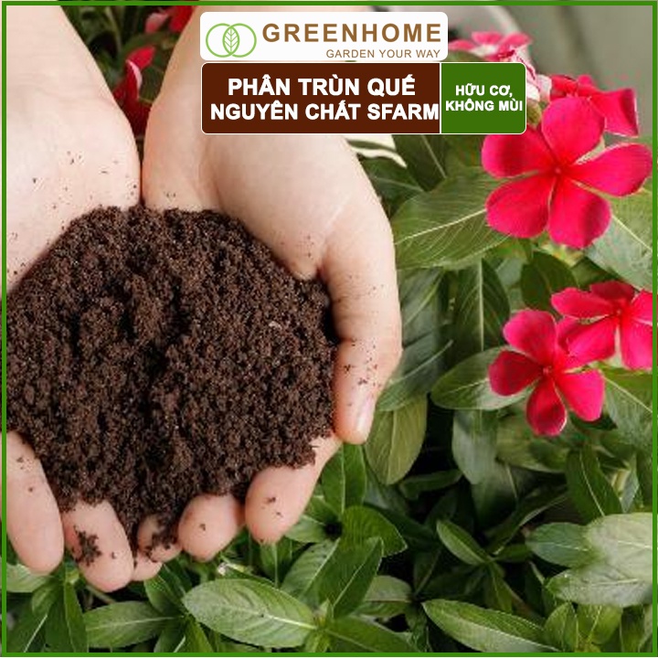 Phân trùn quế Sfarm, bao 2kg, nguyên chất bổ sung dinh dưỡng cho cây, hoa, cải tạo đất |Greenhome