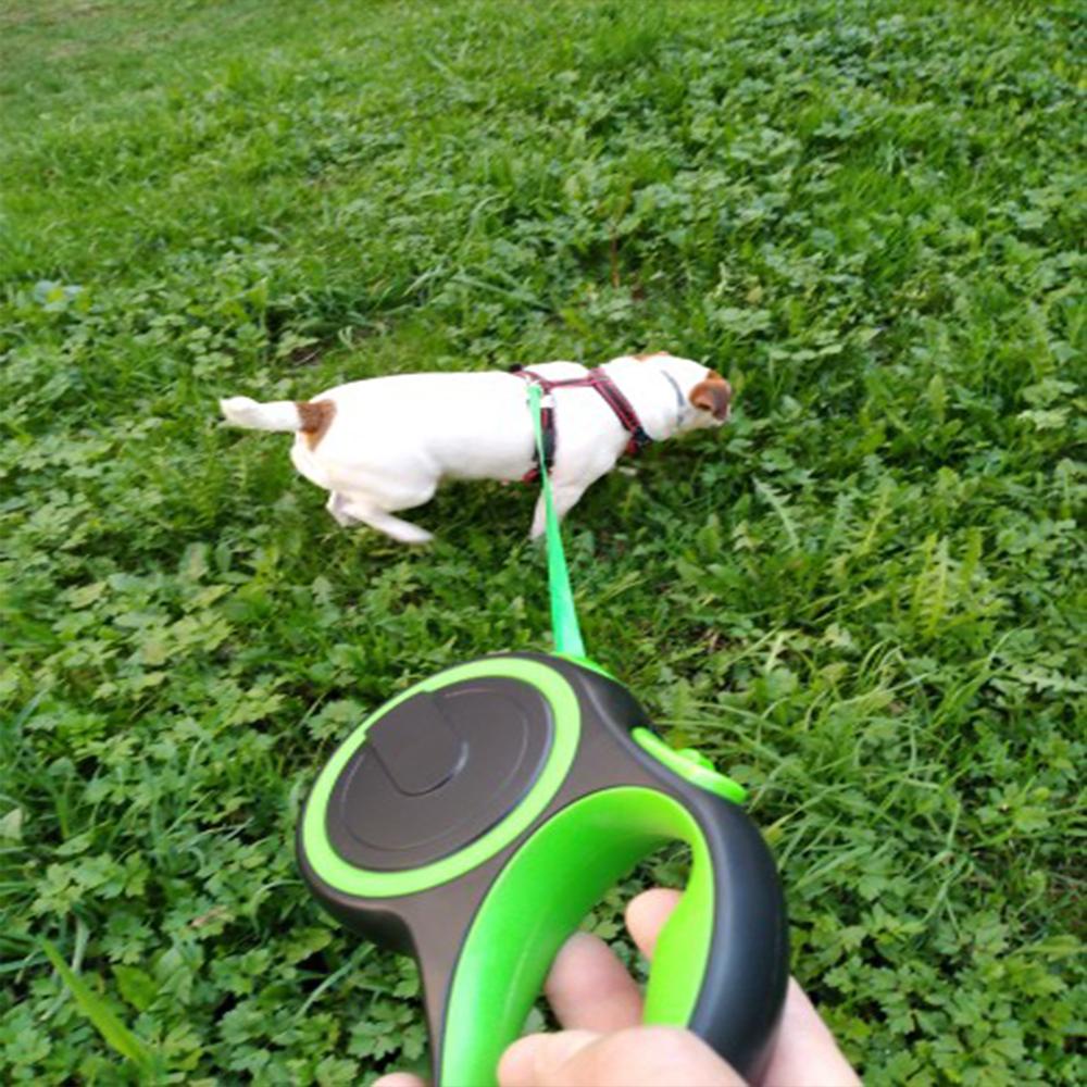 Dây dắt thú cưng bằng nylon bền chắc có thể thu vào tự động xoay 360° chống xoắn dài 3m/ 5m/ 8m nhiều màu tùy chọn