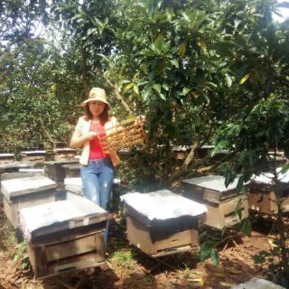 Sữa ong chúa tươi 900g