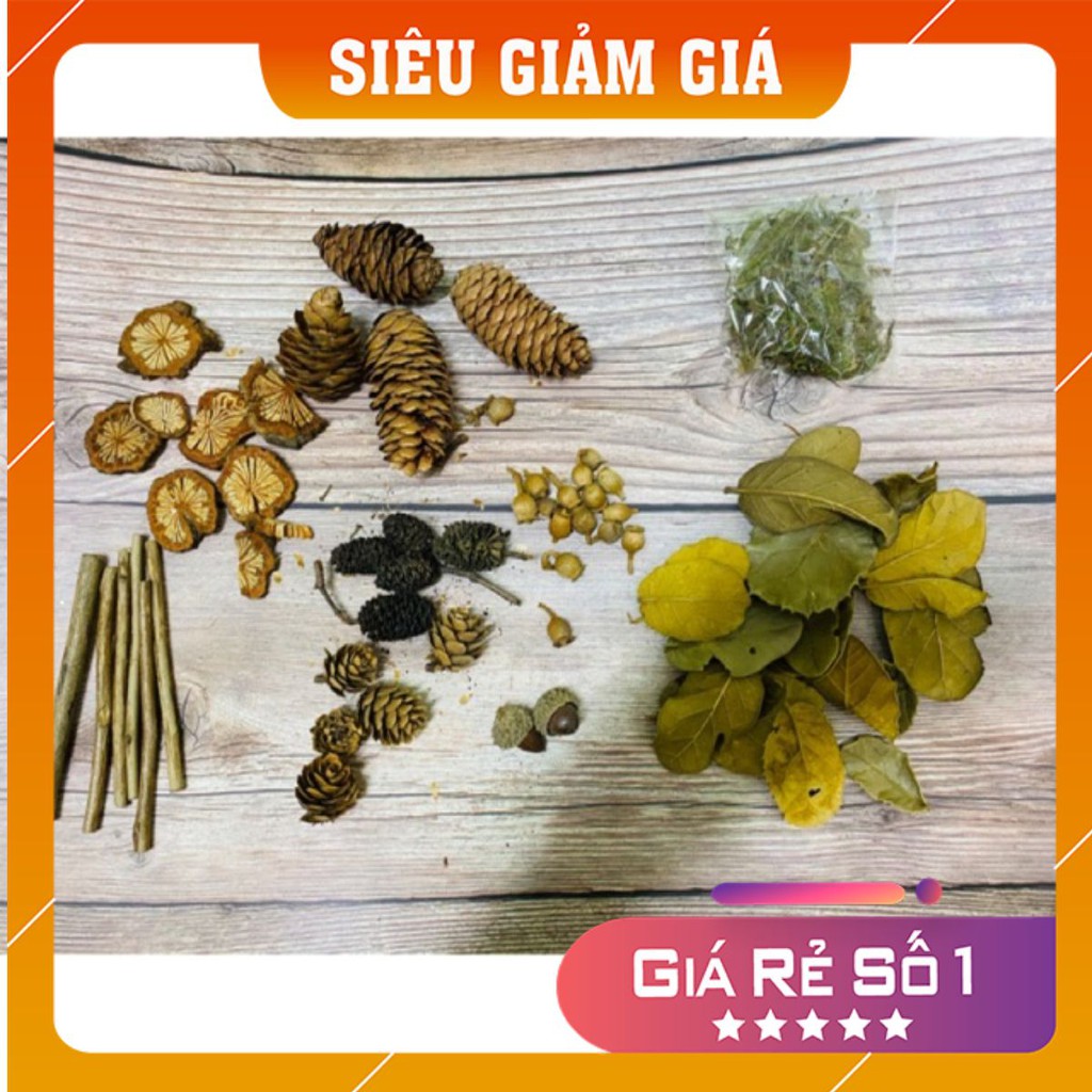 Set thông rêu