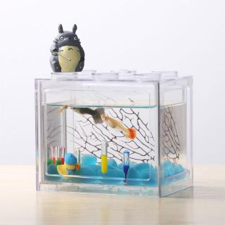 Bể Cá Nhỏ Xinh Siêu Bền Độc Đáo