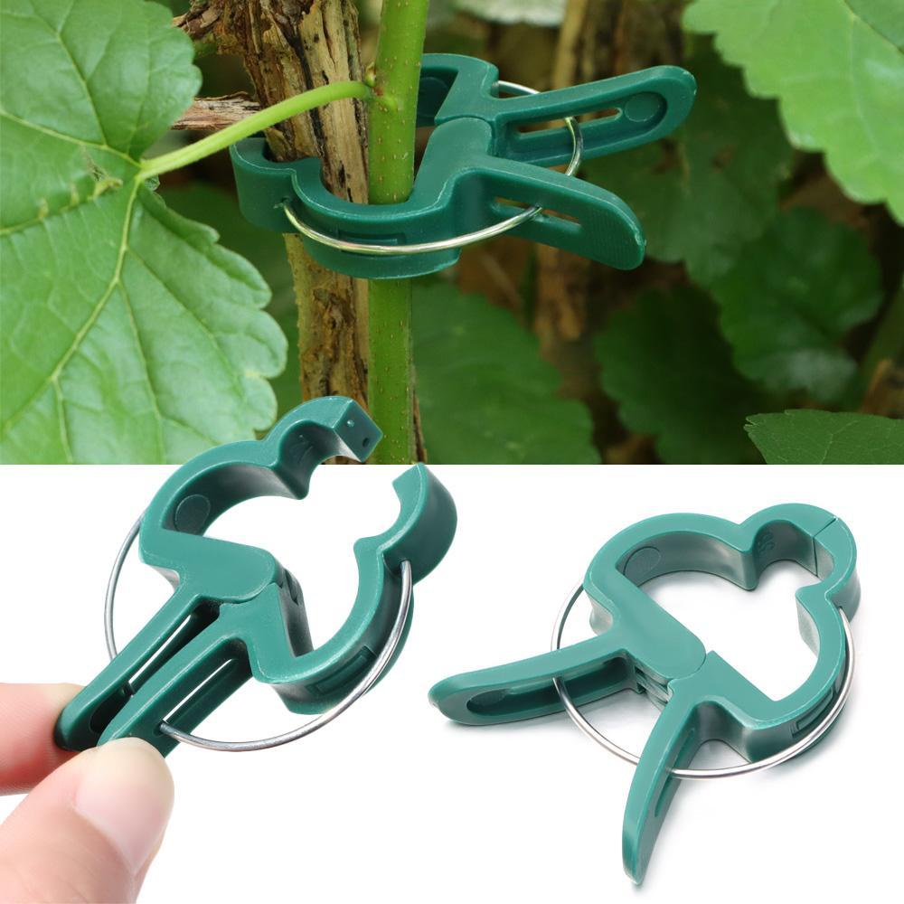 Kẹp Trồng Cây Cà Chua Chống Thời Tiết Tiện Dụng