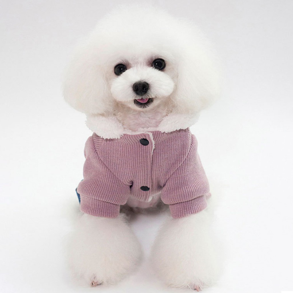 Áo khoác thêu hình dành cho thú cưng