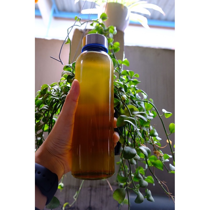 Mật ong rừng thiên nhiên chai nửa lít | BigBuy360 - bigbuy360.vn