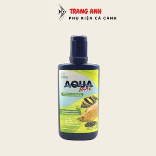 Aqua bạc chữa nấm cho cá rồng - hổ - sam