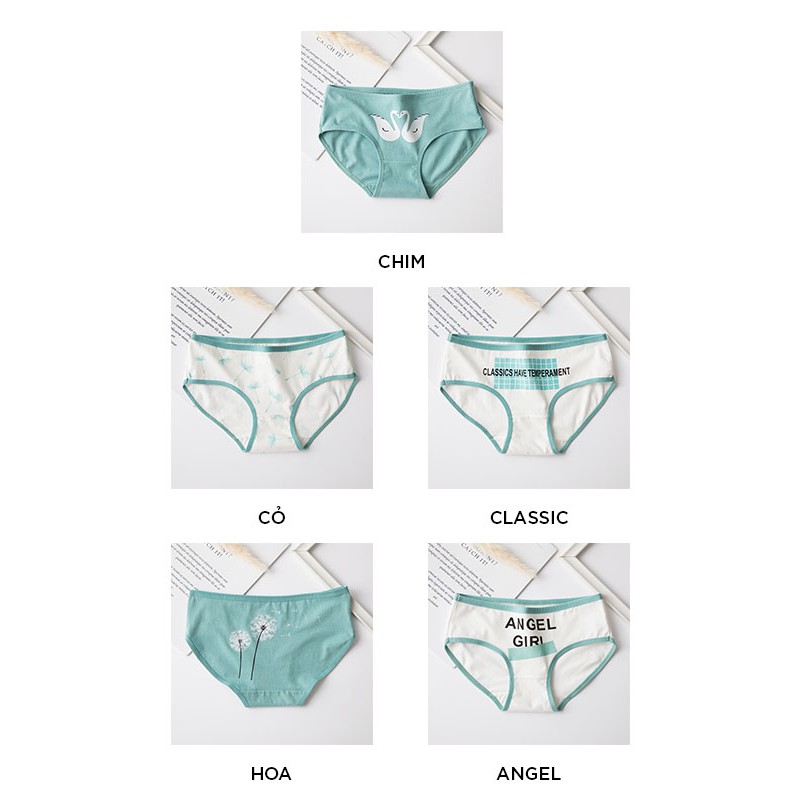 Quần lót nữ cotton cao cấp co giãn kháng khuẩn in hình đáng yêu dễ thương QL27 | BigBuy360 - bigbuy360.vn