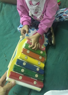 Đàn xylyphone bằng gỗ thông