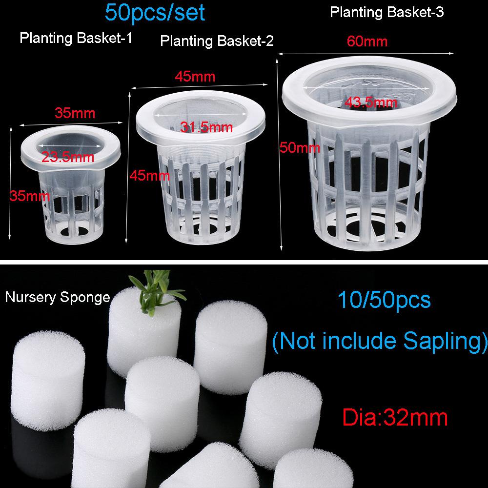 BORAG 10 / 50 Chậu Trồng Cây Thủy Canh Không Cát