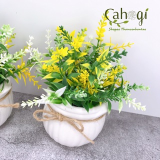 Hoa Giả - Chậu Hoa Đỗ Cắm Sẵn