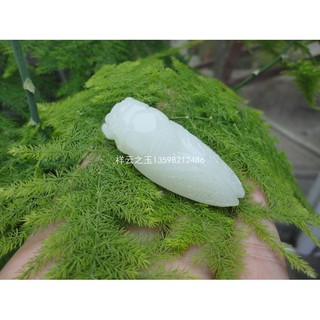 Mặt dây chuyền bằng đá ngọc bích trắng tự nhiên hình chú ve sầu trong Naruto