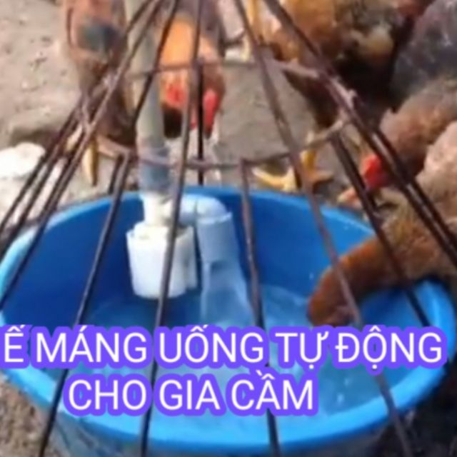 Máng uống cho gà , vịt , ngan , ngỗng , trâu , bò , dê