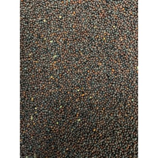 Hạt cải dầu hàng Ý gói 1kg