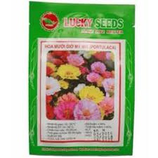 Hạt giống hoa mười giờ mỹ mix
