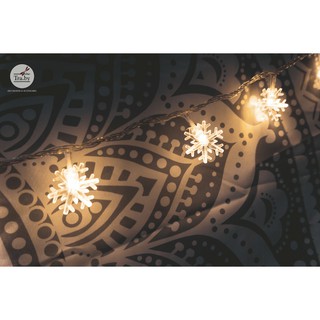 Đèn hoa tuyết noel