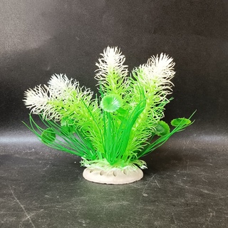 Cây cảnh trang trí bể cá - rong đuôi chồn - Cây thủy sinh