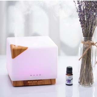 Tinh dầu Oải Hương Lavender