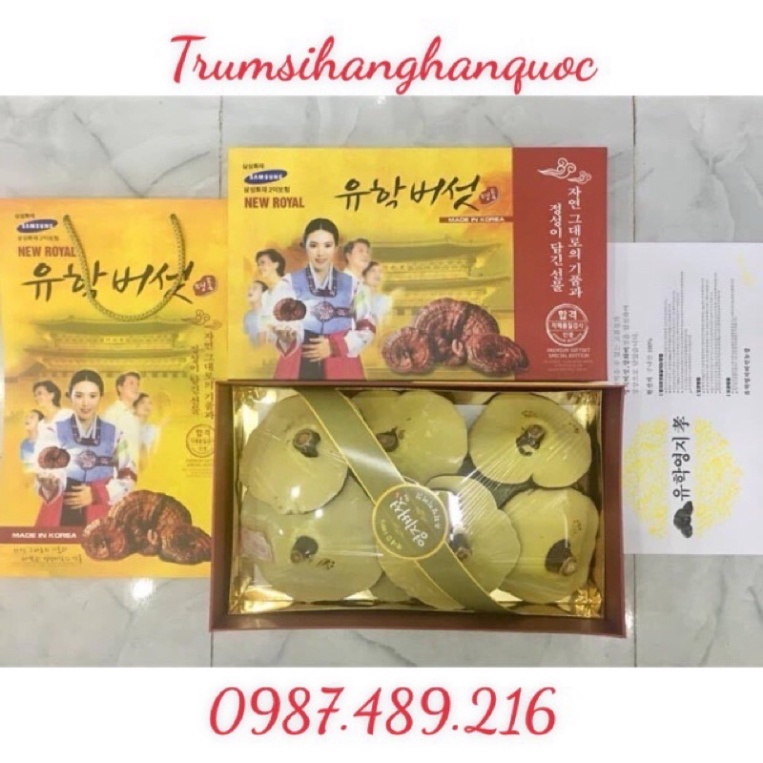 [ SALE KHỦNG ] NẤM LINH CHI VÀNG HỘP CÔ GÁI LOẠI THƯỢNG HẠNG 1KG [ Hàng Mới Về ]