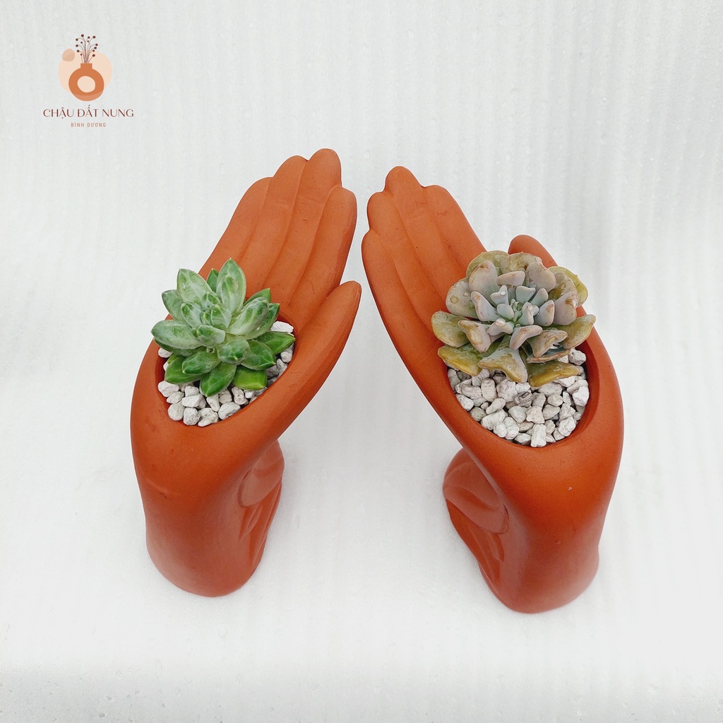 Chậu đất nung, Chậu sen đá - Bàn tay của người tôi yêu, miệng chậu 6cm, chiều cao 15cm