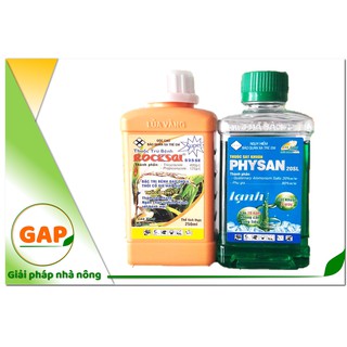 ROCKSAI & PHYSAN Đặc trị đạo ôn cháy bìa lá, thối nhũn,thối thân, thối hạt do vi khuẩn